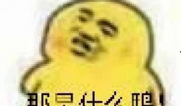 娱乐圈吃瓜白底图表情包,吃瓜群众的欢乐源泉